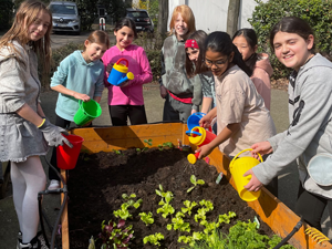 Hochbeete bepflanzt